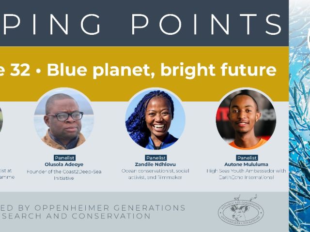 Tipping Points 32