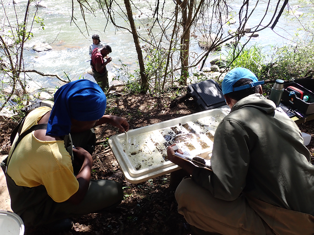 The team at work sampling at a river site. Picture supplied