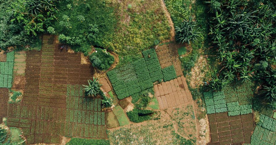 Africa is greener than you think