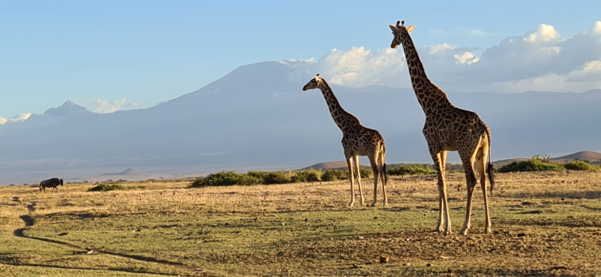 Mount Kilimanjaro as seen from Amboseli National park