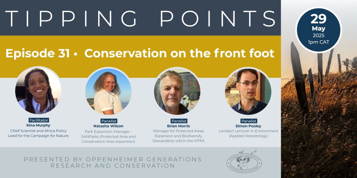 Tipping Points Ep 31 (zoho) v3