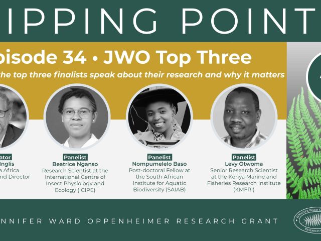 Tipping Points 34